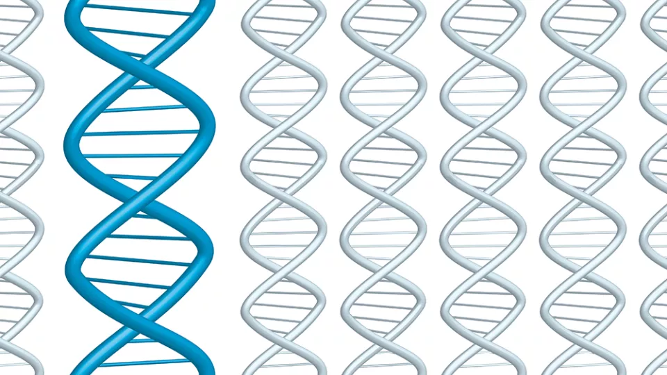 Grafic illustration of DNA strands