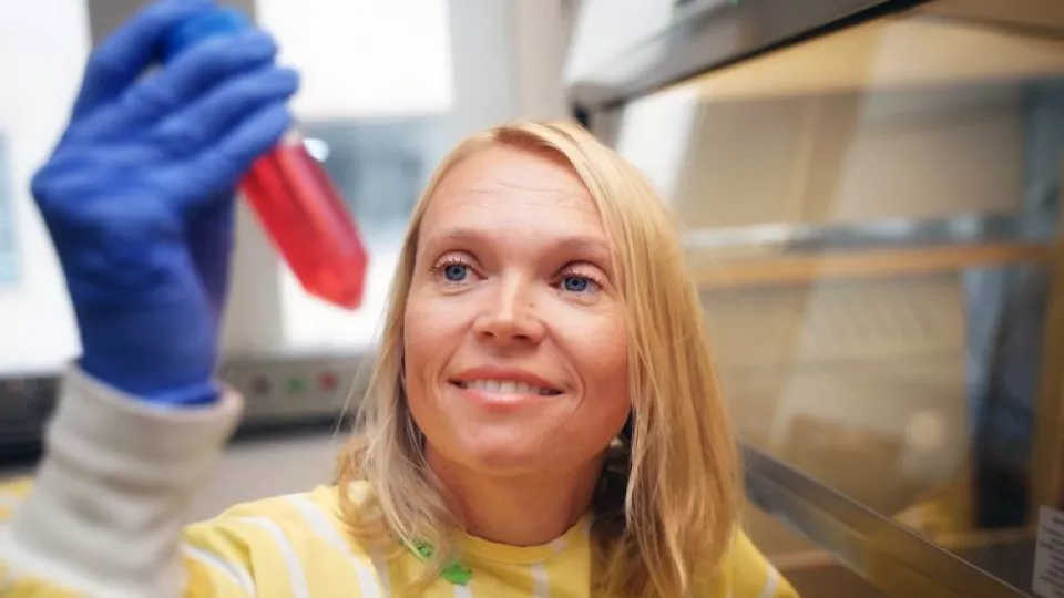 Immunology professor Lena Uller.