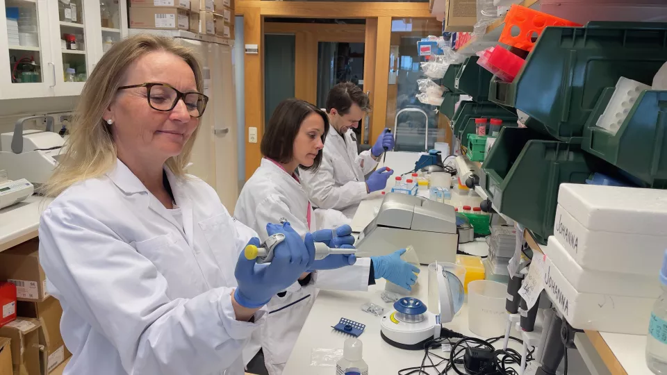  Photograph of three researchers in the lab: Charlotte Ling, Tina Rönn, and Karl Bacos. photo.