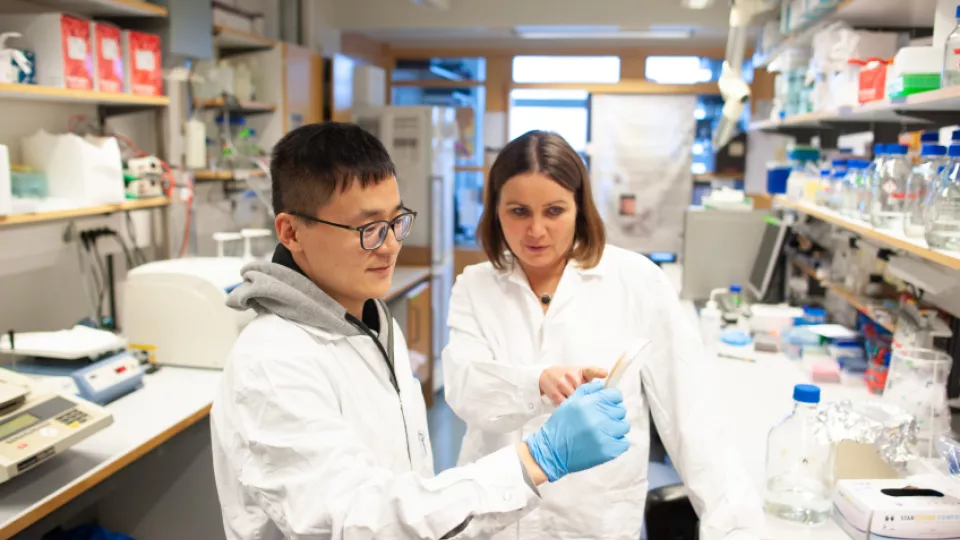 Karin Lindkvist together with Peng Huang, the first author of the study on the structure of aquaporins. Through research on the structure of proteins the research group want to understand more about how our cells work – both when we are healthy and sick. Knowledge that can be used in drug development. Photo.