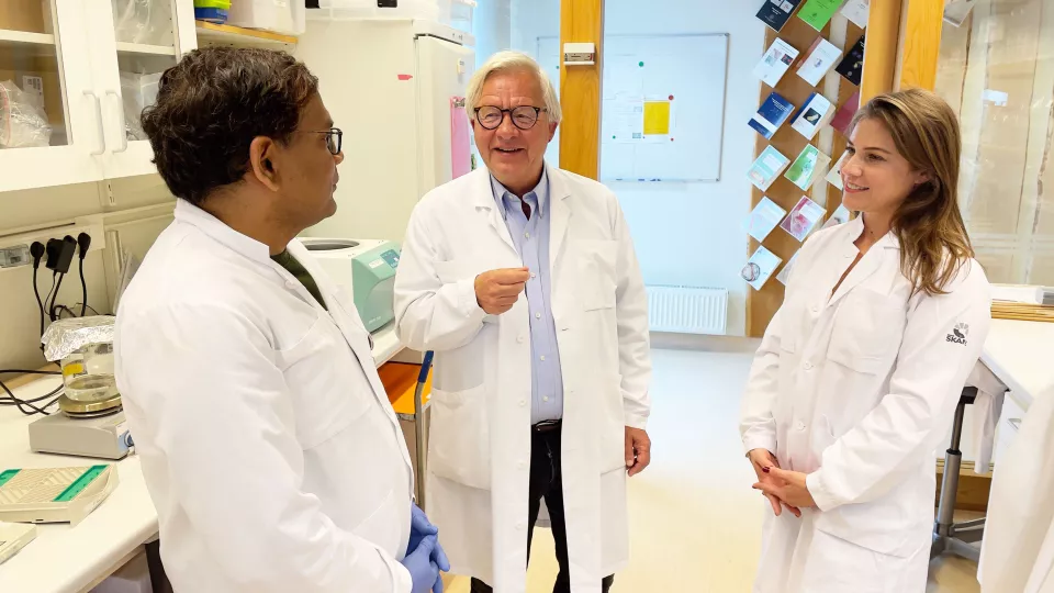 researchers Vikas Yadav, Jan Nilsson, and Filiz Serifler in the lab. photo.