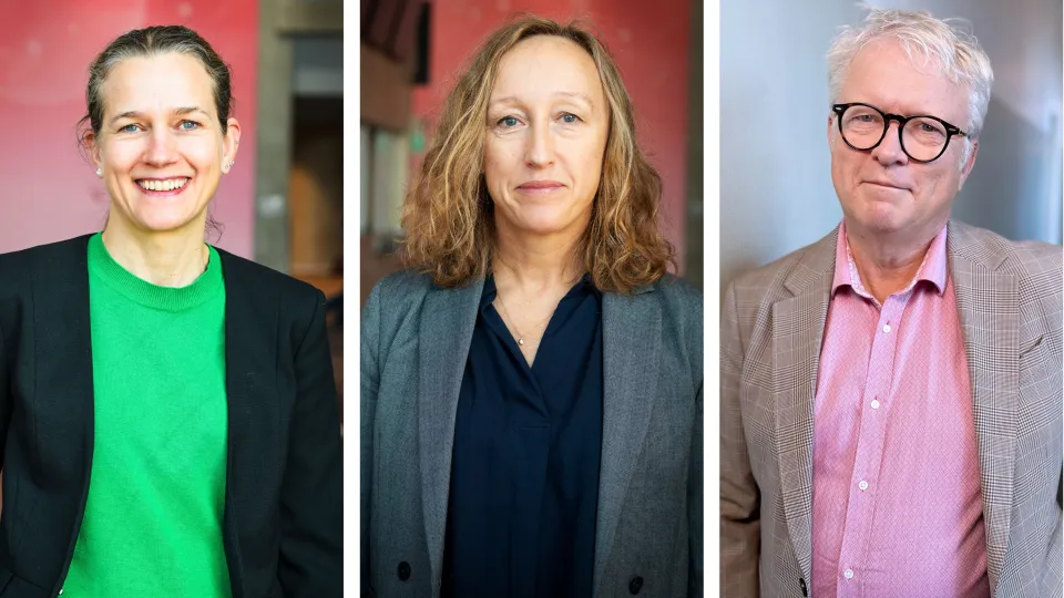 Anna Falk, Gisela Helenius and Stefan Jovinge. Photo: Tove Smeds, Lunds University och Skånes University Hospital