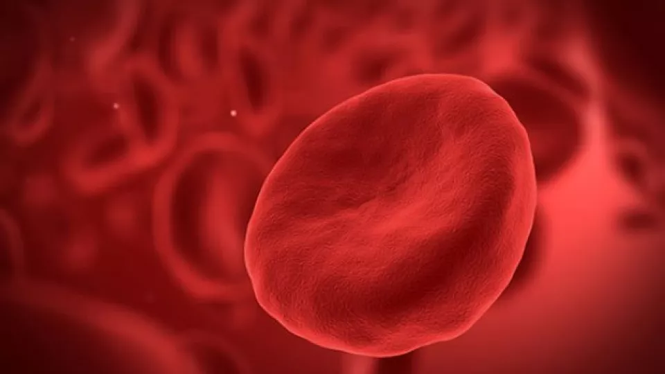 Red blood cell.
