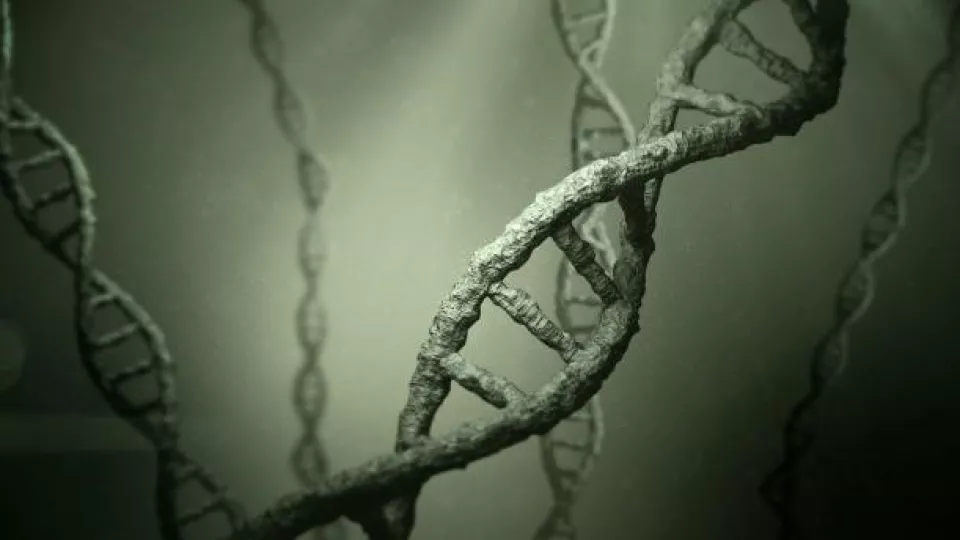 DNA. Image.
