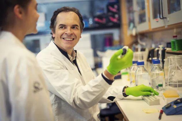 Photo of a reseracher in the lab, looking at a college while using laboratory equipment. Foto: Johan Persson