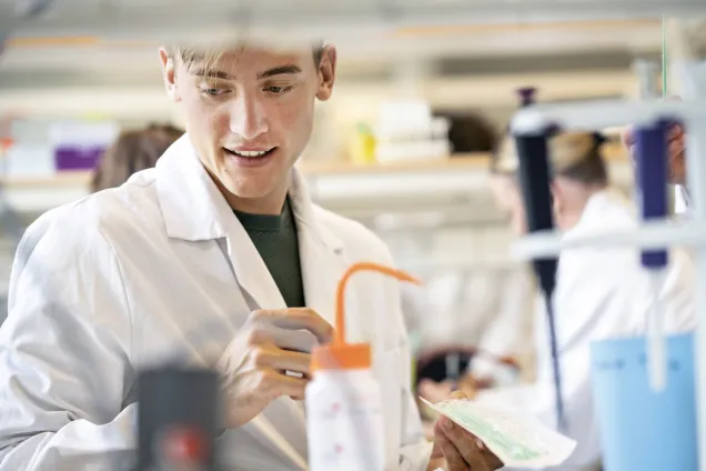 PhD student at a laboratory desk. Photo.