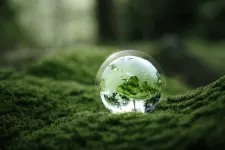 A water bubble in the middle of a green forest. Photo: iStock