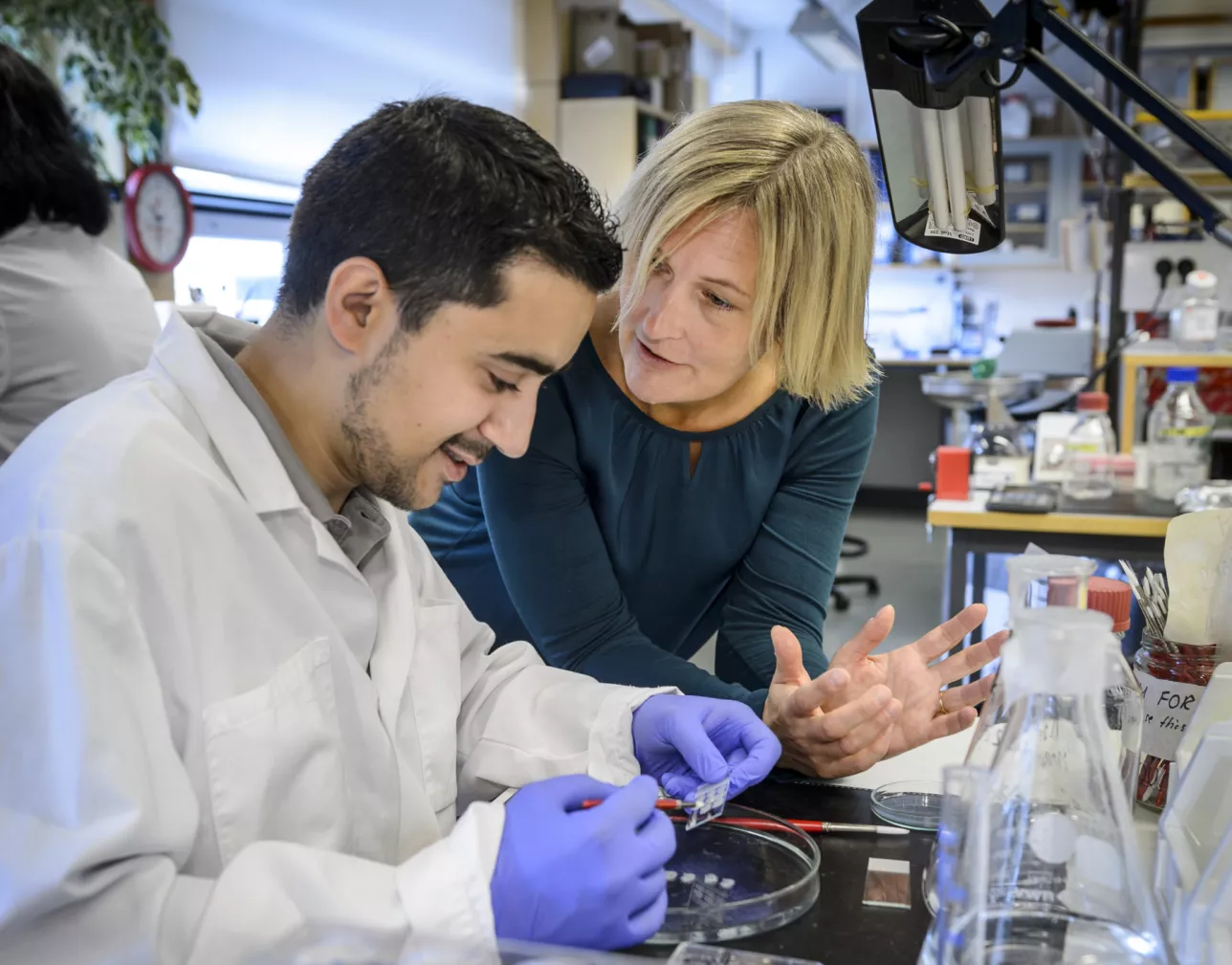 Two researchers carry out an experiment in the laboratory. Photo.