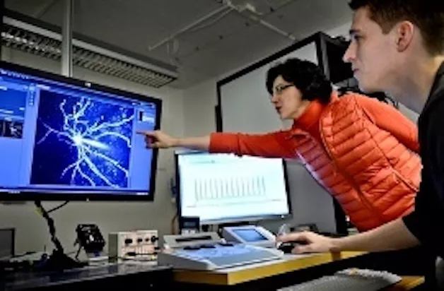 Two people looking at screen. Photo. 