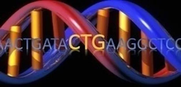 dna animation. 