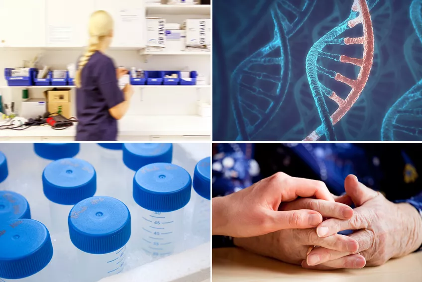 Images representing clinical practice, laboratory facilities, health care and DNA-section. Photo collage.