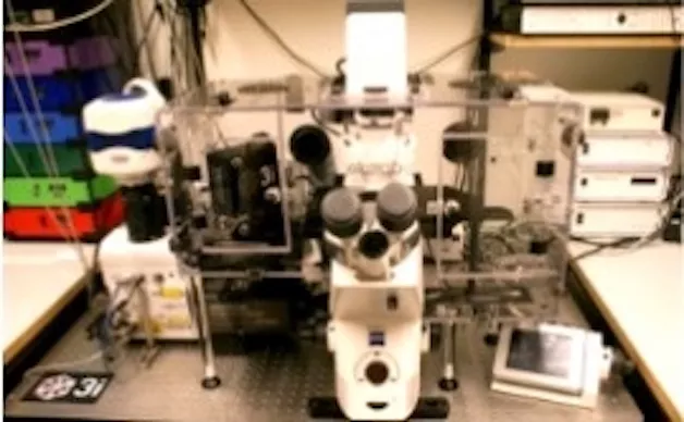 Advanced microscope. Photo. 