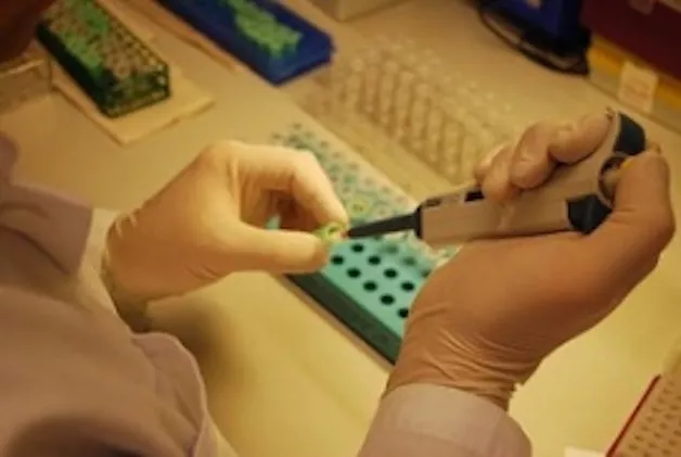hands using automated pipette. Photo. 