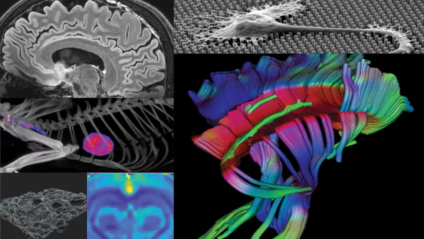 Illustration showing different imaging outputs
