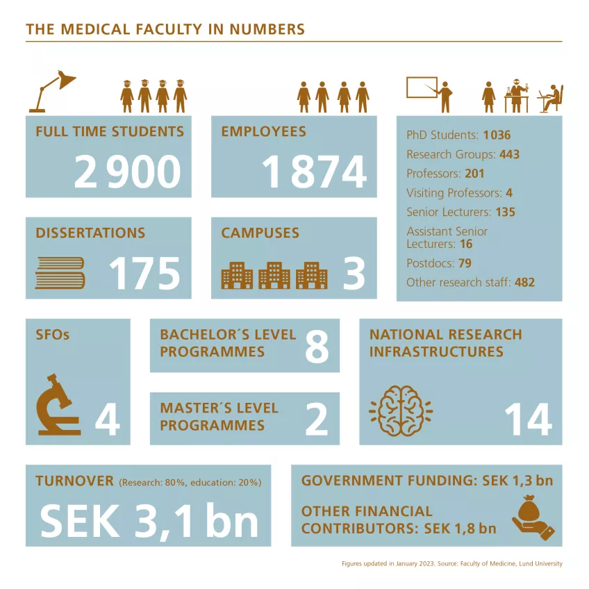 The Faculty of Medicine in figures 2023. Infographic. 