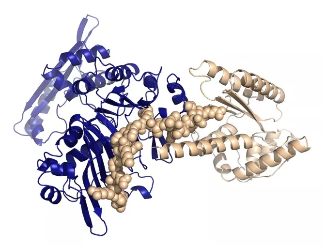 Close up of protein structure. Illustration.