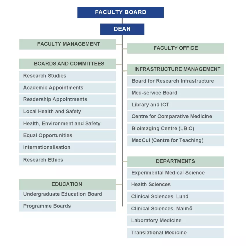 Organisation scheme, Faculty of Medicine. Graphics.