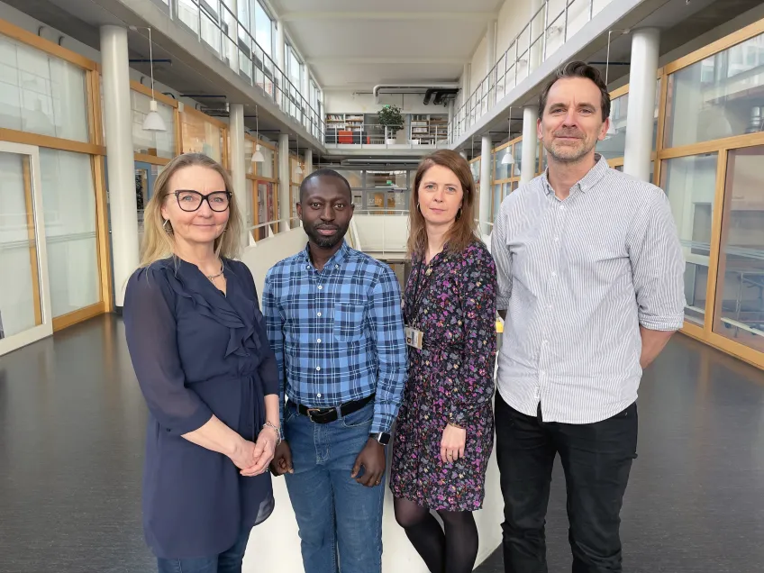 The researchers behind the study: Charlotte Ling, Jones Ofori, Sabrina Ruhrmann and Karl Bacos. Photo: Petra Olsson