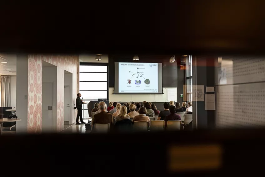 European Huntington researcher shared research results and clinical experiences at the second Nordic Huntington research meeting. Photo: Agata Garpenlind