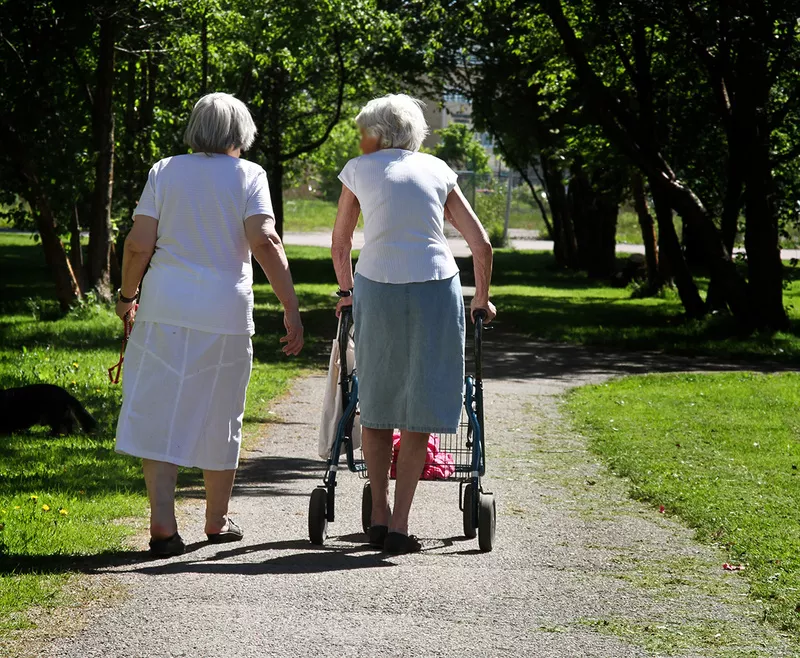Two elderly women taking a walk in a park. Photo.